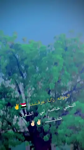 #شكاري_العـــــــــــزززز💪💛🔥 #fypシ゚viral🖤tiktok #مالي_خلق_احط_هاشتاقات #sudanese_tiktok #حلفاالجديدة❤ @ابو ميرغنى البزعي (989) @فجاخ_ الشكـــري @꧁شبلي الدرع꧂ @الشكري ✊ @عبدالرحمن الشكري 616💫🤍 @معتز مجدي @فتح الرحمن افو🔥🔥✌🏼✌🏼 