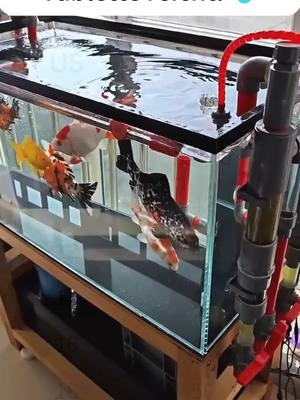 Leistungsstarke Wasserreinigungstablette für Aquarien