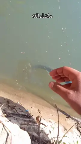 #ڕاوە_ماسی🚣✅ #foryu #اكسبلورexplore❥🕊🦋💚❤ 