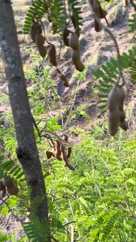 #foryou #🥰😂😁 