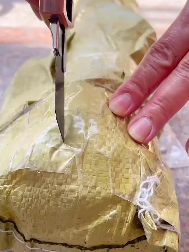 Beli 1 Percuma 5 - Panjang sehingga 7M! Free Shipping + Barang Sampai Baru Bayar (COD)