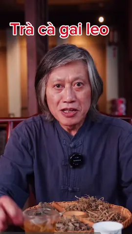 #xuhuong trà cà gai leo uống hằng ngày rất tốt cho gan 