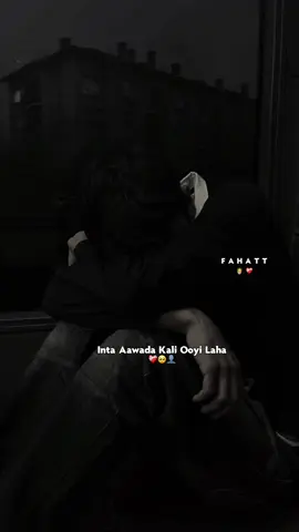 Adnah aad darteey u ilmeen laheed😍#jawiga_jawiyada_eryaday🌴🌾❤️ #jawi_bila🌊❤️🌴 #fahatt_lyrics #music_lyrics #somalitiktok12  