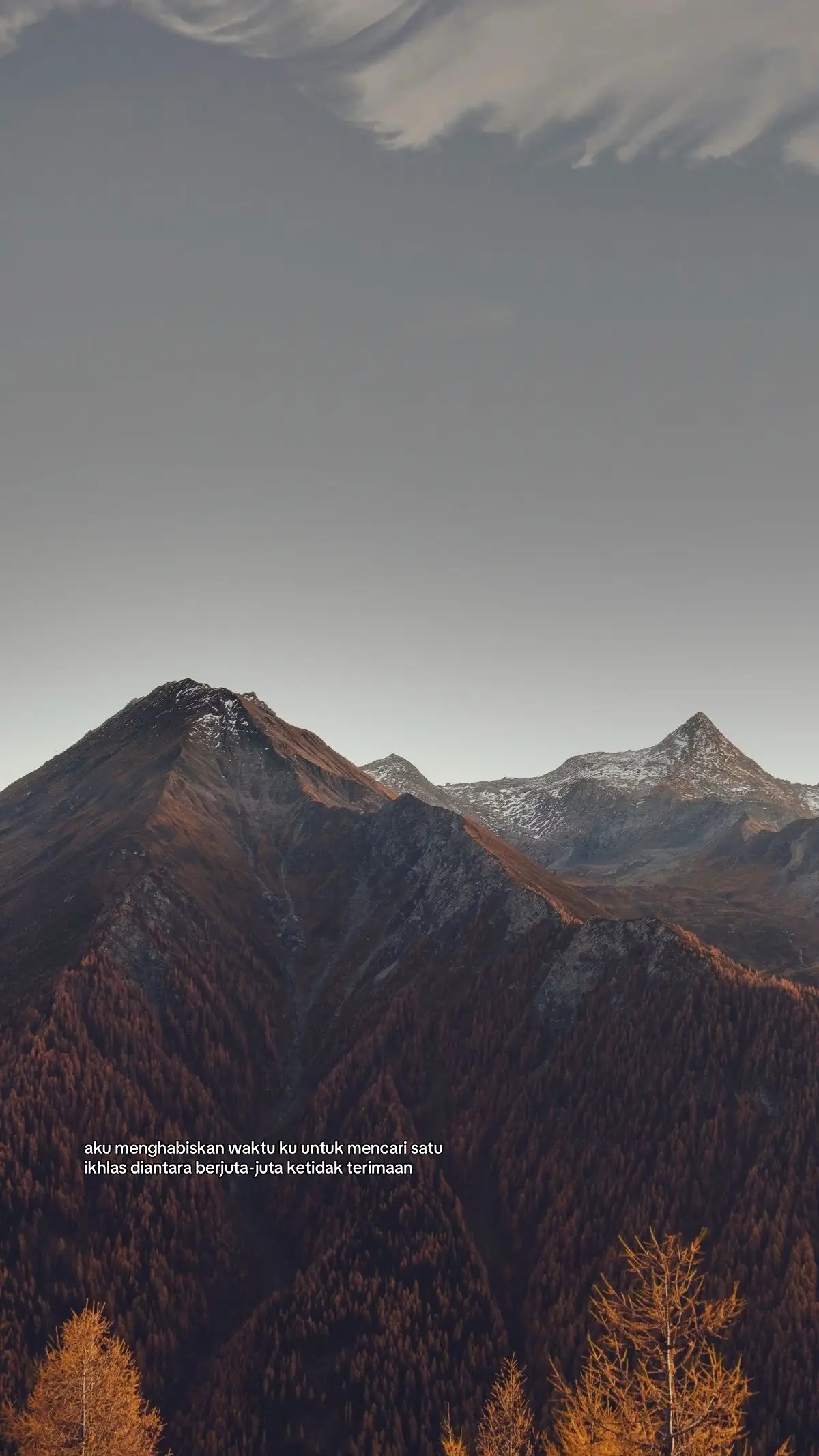 Berikut cara membuat sup daging sederhana yang gurih, hangat, dan enak: Bahan-bahan: 	•	300–500 g daging sapi (sandungan lamur / daging sop) 	•	2 liter air 	•	2 wortel, potong bulat 	•	2 kentang, potong dadu besar 	•	1 batang daun bawang, iris 	•	1 batang seledri 	•	1 tomat, potong 4 	•	Bawang goreng secukupnya (untuk topping) Bumbu Utuh: 	•	4 siung bawang putih, geprek 	•	1 bawang bombay kecil (atau 3 siung bawang merah), iris 	•	1 sdt merica bubuk 	•	2 butir cengkeh (opsional) 	•	1 batang kayu manis kecil (opsional) 	•	Garam & kaldu bubuk secukupnya 	•	1 sdt gula (opsional) ⸻ Cara Membuat: 	1.	Rebus daging 	•	Didihkan air, masukkan daging. 	•	Rebus dengan api kecil sampai daging empuk (1–1.5 jam). 	•	Buang kotoran/foam yang mengapung agar kuah bening. 	2.	Tumis bumbu 	•	Tumis bawang putih dan bawang bombay sampai harum. 	•	Masukkan ke dalam rebusan daging. 	3.	Masukkan sayuran 	•	Masukkan wortel & kentang. 	•	Masak hingga lunak. 	4.	Bumbui 	•	Tambahkan merica, garam, gula, kaldu bubuk, cengkeh, dan kayu manis bila pakai. 	•	Aduk, koreksi rasa. 	5.	Finishing 	•	Masukkan tomat, daun bawang, dan seledri. 	•	Masak sebentar 2–3 menit, matikan api. 	6.	Sajikan 	•	Tuang ke mangkuk, beri taburan bawang goreng. ⸻ Tips Biar Lebih Enak: 	•	Tambahkan tulang buntut atau sumsum untuk kuah lebih gurih. 	•	Simmer dengan api kecil, jangan biarkan kuah bergolak supaya tetap bening. 	•	Kalau ingin cepat, gunakan presto untuk empukkan daging 20 menit. #fyp #galaubrutal #quotes #4u 