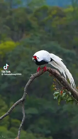 اللهم اجعل القرأن العظيم ربيع قلوبنا ونور صدورنا وجلاء احزاننا وذهاب همومنا وغمومنا وسابقنا ودليلنا إليك وإلى جناتك جنات النعيم اللهم علمنا ماينفعنا وانفعنا بما علمتنا وزدنا علما