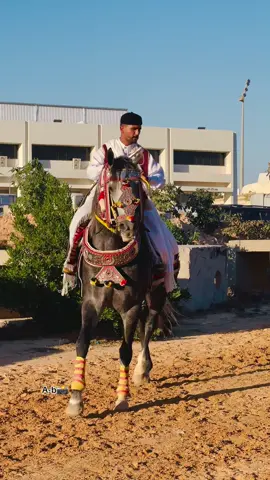 #يربح_من_يصلي_عن_النبي🌙 #خيل_وخياله🐎 #رمسيس #يسلم_اصطيفه #رقم_صعب @,َمْصطفىٰ || ١٤١٧ 