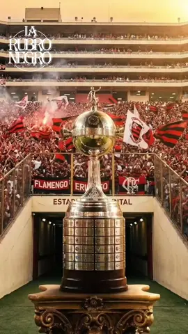 Flamengo Campeão da libertadores 2025 #flamengo #riodejaneiro #brasil🇧🇷 #motivacional #homens 