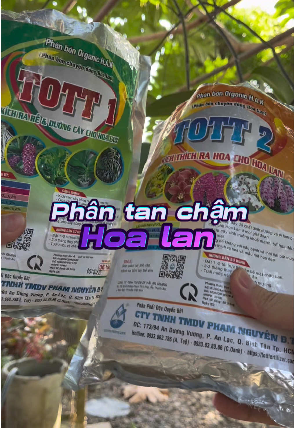 #kimthanhshop #phantanchamhoalan #kichreduongcayduonghoalan 