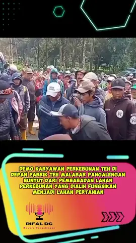 Berbagai tuntutan dari para karyawan kebun teh Pangalengan saat lakukan aksi demo di area Pabrik Teh Malabar. Salah satunya, mereka menginginkan adanya keadilan terhadap para pelaku perusakan di area kebun teh yang merupakan tempat mereka mencari nafkah. Perusakan terjadi sudah sejak lama dan pihak PTPN I Regional 2 telah melaporkan ke pihak Kepolisian serta menjaga dengan melakukan patroli tiap malam namun tetap perusakan masih saja terjadi. #alihfungsilahan #perkebunanteh #pangalengan #rifaldc #bewarapangalengan 