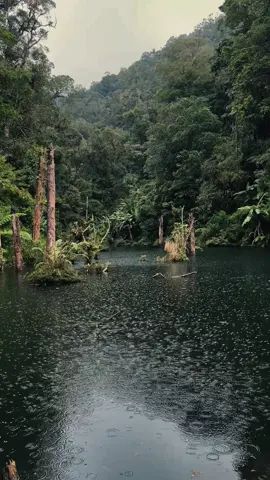 Lembah tengkorak in the rain🌧️#lembahtengkorak #fyppppppppppppppppppppppp #foryoupage❤️❤️ 