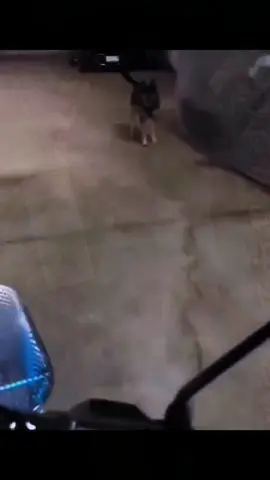 #funny #fyppppppppppppppppppppppp #funnyprank #funnyvideo 