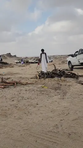 #جخو،الشغل،دا،يا،عالم،➕_❤_📝 #العريس 