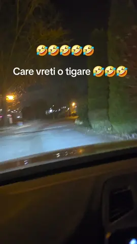 #lesin #flypシ #viral 