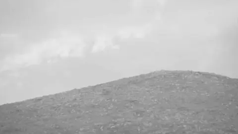 #اعتنيتك_واسحل_بروحي #فاضل_عواد_السماوي 