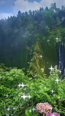 ##💫💫🌹🌹🤲🤲❤️❤️❤️❤️❤️🤲🤲🌹🌹💫💫##