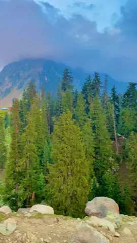 Beautiful jhaz Banda #unfrezzmyaccount #jhazband #foryou #foryou #foryou @🫶 Kumrat valley⛰️ @🏞️kumrat_valley♨️ 