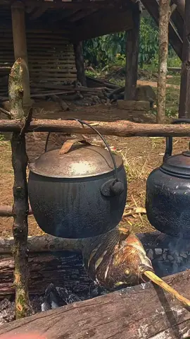 #nasibbadan#nasib#jemekitegale#jemekite#semendelembak 