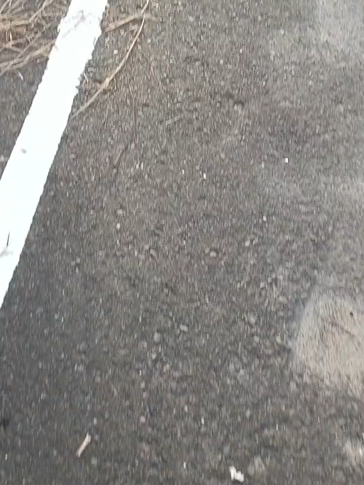 Tecno Camon 40 1080p 30fps #TECNOIndonesia #TECNOFansIndonesia  #tecnocamon40 #sunset #lyrics  @tecnoindonesia @tecno_kalimantan