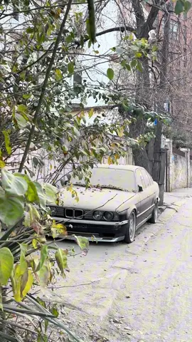 Waiting for its owner.. #bmw #e34 #abandoned #fyp #viral