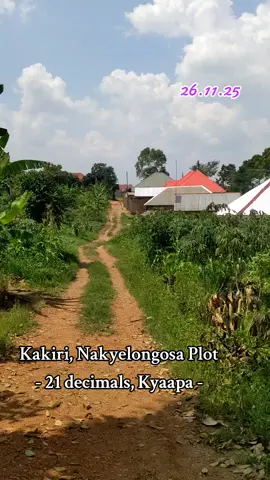 half km from main road at 35m