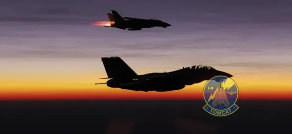 The legendary f14 tomcat!#f14tomcat #edit #skoshigrp #fighterjet #fyp