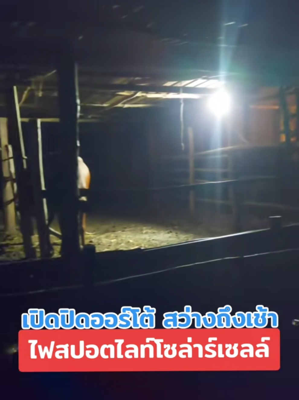 สปอร์ตไลท์โซล่าเซลล์ 1 ปีแล้วยังใช้งานได้ปกติ แข็งแรงทนทานตากฝนได้ เปิดปิดอัตโนมัติสว่านยันเช้า #วันนี้ในอดีต 