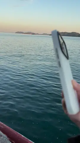 #magneticphonecase #pocof8pro #poco #pocof8ultra #phonecase 