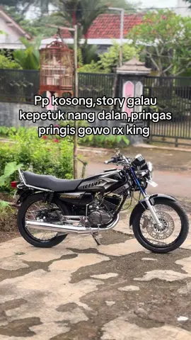 😁😁#rxkingroster #rxking #rxking135cc #2stroke 