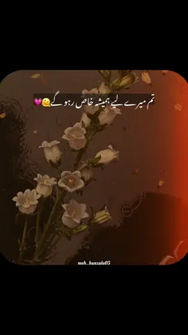 Repost request 🫠🌸 #urdupoetry #poetrystatus #foryoupage #foryou #fyp 