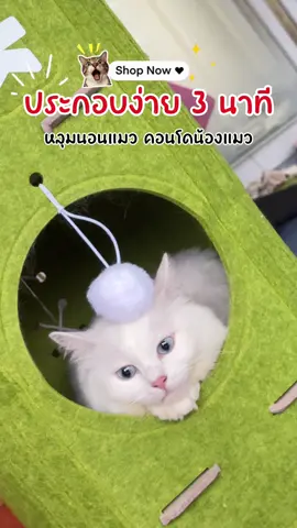 #ทาสแมว #คอนโดแมวสวยๆ #คอนโดแมว #คอนโดแมวกําลังฮิต 