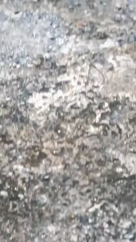 🤙🏼 #kph#kphgank#kphjogjastyle#fyppppppppppppppppppppppp#jogjastyle 