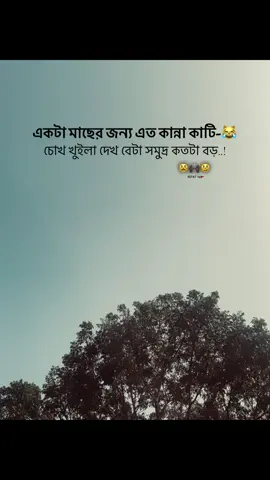 কথাটা কিন্তু মাছের জন্য ছিল না..!🙂‍↔️  #rifat #foryoupage #tiktokviral #viralvideo #fypppppppppppppppppppppppppppppppppppp 