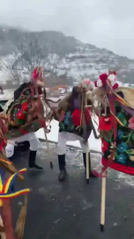 What draws us to the circle? In the hushed stillness of Măgura Ilvei, under the heavy cloak of snow and sky, there’s a ruckus that breaks the winter’s grip—a thundering, raw celebration of life itself. The Jocul Caprei isn’t just performed; it’s unleashed. A circle forms, its participants masked and menacing, their măști grotesque, each one a hand-crafted nightmare of leering eyes and crooked grins. They face inward, toward a single point where chaos churns—a Capra, wild and untamed, its body of coarne (horns) and pături (woven blankets) lurching and convulsing as if the spirit of some ancient god were trapped inside. The dancers wield toiege (wooden staffs) that clatter like bones on the frozen earth, their strigături—half-shouted invocations, half-feral cries—splitting the silence. This isn’t folklore tidily repackaged for polite applause. This is a howl into the void, a ritual older than written words, pagan to its core and utterly unrepentant. The Capra—the goat—embodies life’s unruly, uncontainable force, a spirit of mischief and survival. Its dance, performed in this circle of masked revelers, is both chaotic and strangely deliberate. The goats twist, jump, and stamp in rhythm, their movement not merely performance but communion. It’s raw energy directed inward, a momentary collapse of time where modernity dissolves, leaving only snow, fire, and the wild, human need to remember. And at the center of the circle? That’s the question, isn’t it? The focus is everything and nothing. A symbol, maybe, of abundance or fertility. Or perhaps something darker: a reminder of the razor-thin line between life and death, chaos and order. The masks leer, the staffs crack against the ice, and the chants climb higher. It’s visceral, unnerving, beautiful in its madness. Tell me, when you step into the circle, what would you find staring back at you? Video by @valy_stretea  [Romanian Folklore, Capra Dance, Ritual Circles, Măgura Ilvei, Grotesque Masks, Strigături Meaning, Ancestral Rituals, Capra Symbolism, Village Life] #romania #travel #wintertraditions 