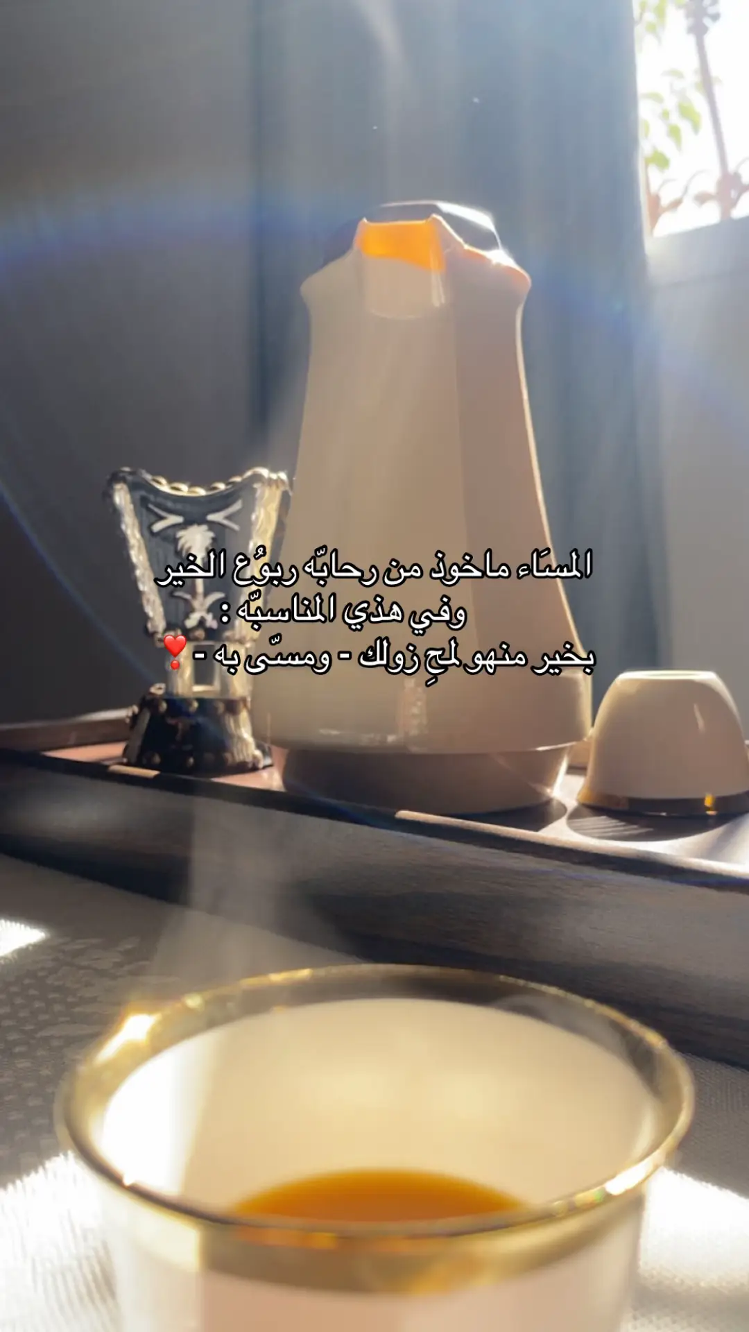 #catsoftiktok #capcut #عشوائيات 