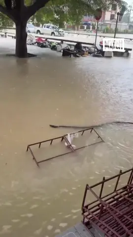 En Thaïlande, des inondations d’une ampleur exceptionnelle ont submergé des quartiers entiers, avec des hauteurs d’eau allant de 1,5 à 3 mètres. Des millions de personnes ont dû fuir leurs maisons, tandis que la montée des eaux pousse désormais la faune sauvage dont des pythons à s’aventurer jusque dans les rues des villes. #thailand #hatyai #python #flood #onregardequoi 