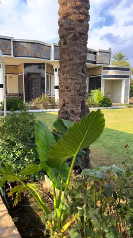 الغيوم🍃⛅️#المصور_صهيب_شكراوي 