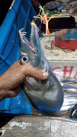 #pelauttangguh💪 #pemancing 