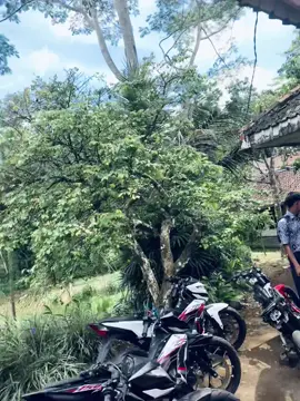 #sonictasik🏴‍☠️ 