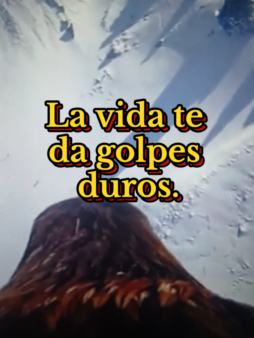 frases motivación la vida te da golpes duros pero DIOS te da fuerzas para resistirlos #frases #motivacion #la #vida #parati 