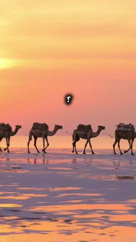 #islamic  #foryoupage # #viral #