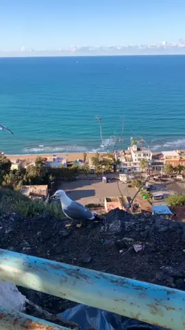 #paratiiiiiiiiiiiiiiiiiiiiiiiiiiiiiii #Republier🔁 #explore #benisaf #ftypシ 