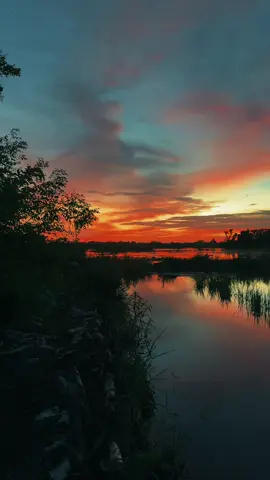 Thân a nghèo... nên tình mình cheo leo 🥺🥺 #xuhuong #nhachaymoingay #tamtrang #lofi #canhqueyenbinh 