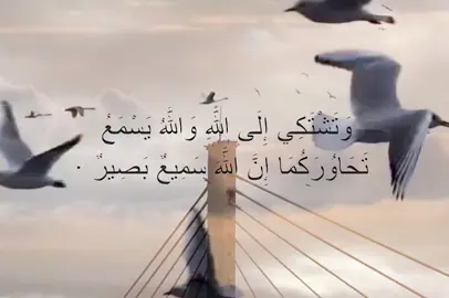 #قران_كريم #وتشتكي_إلي_الله_والله_يسمع_تحاوركما#الهم_صلي_على_محمد_وأل_محمد#يالله 