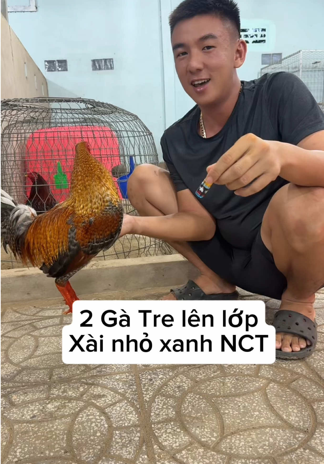 #traiganhancantho #locuanhancantho @NHÂN CẦN THƠ3 