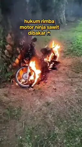 #petanisawit🌴 #pyppppppppppppppppppp #beritaviraltiktok #idtrendingtiktok #ninjasawit 