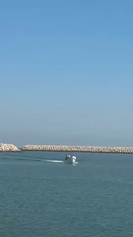 #مالي_خلق_احط_هاشتاقات #لايك_متابعه_اكسبلور #🎶💞🥰فيديوهاتي 