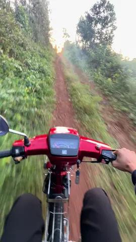 Đường đi thăm mấy con ip17🥰