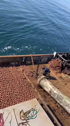 #creatorsearchinsights #SeaLife #ShipLife #OceanVibes #SailorLife