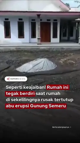 Di tengah hamparan material vulkanik yang menelan puluhan rumah di sekelilingnya, satu bangunan justru berdiri tegak tanpa tersentuh. Seperti sebuah keajaiban, rumah itu tetap utuh meski kawasan sekitarnya porak-poranda akibat erupsi Gunung Semeru di Lumajang, Jawa Timur pada Rabu (19/11) pekan lalu. Video utuhnya rumah tersebut viral di media sosial, banyak warganet yang menanyakan bagaimana hal itu bisa terjadi padahal keadaan di sekitar rumah tersebut tertutup abu vulkanik sisa erupsi. Bahkan rumah di depannya yang juga terdampak, terlihat dalam video tertutup oleh abu vulkanik hingga membuatnya rusak dan roboh. Kejadian ini pun cukup membuat warganet takjub dan bertanya-tanya apa amalan baik yang dilakukan oleh si pemilik rumah. #erupsisemeru #lumajang #gunungsemeru #keajaibantuhan #abuvulkanik 