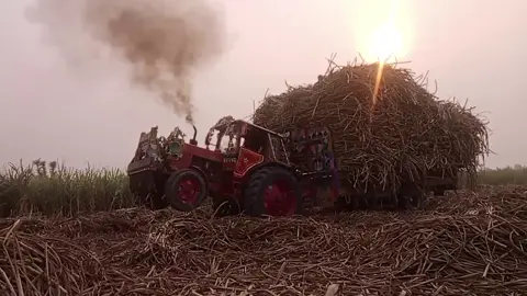 #1 #LIVEIncentiveProgram #SpareMomentsLIVE #PaidPartnership 